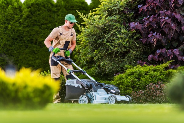 Tonte de pelouse par un jardinier