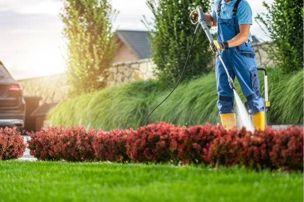 nettoyage des allées jardin et maison