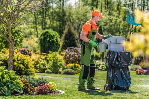 ramassage des déchets du jardin