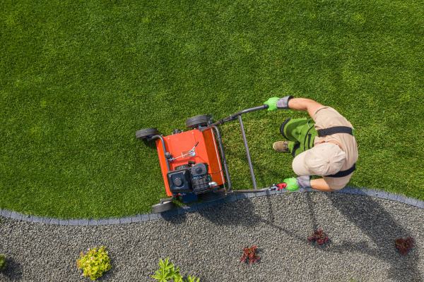 tonte de gazon et entretien de la pelouse par un jardinier