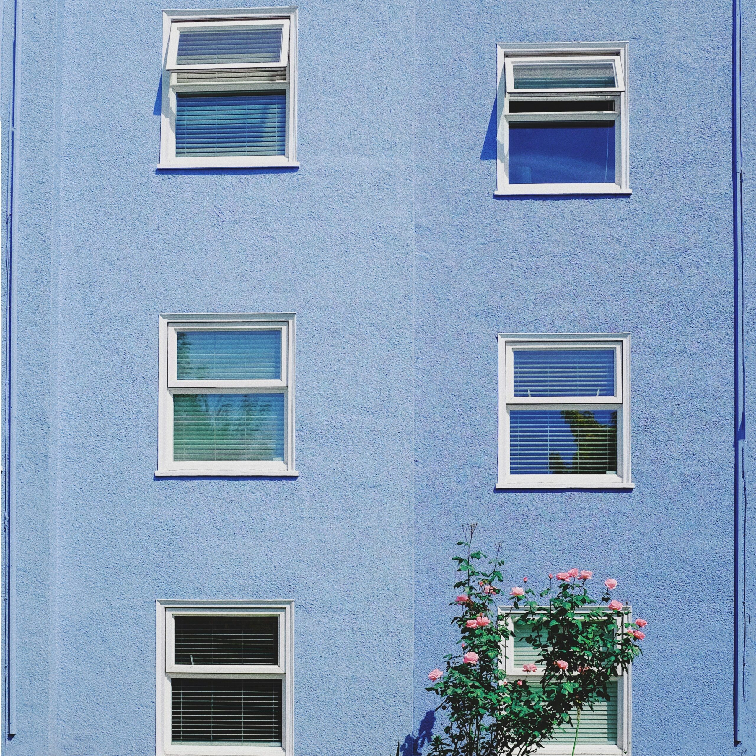 ryan-yao-MpPJ9GGT2nQ-unsplash Façade propre